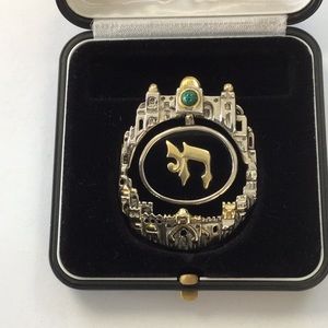 Jewelry-pin/ necklace